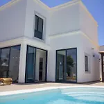 فيلة Ico